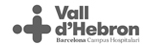 logo-vdh
